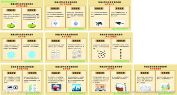 企業(yè)管理圖片信息咨詢(xún)服務(wù) 可視化戰(zhàn)略助力企業(yè)高效決策